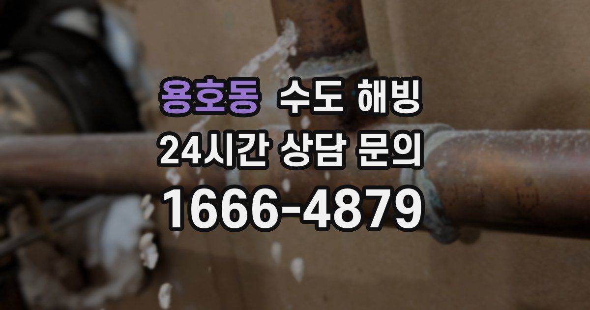 용호동 수도 해빙