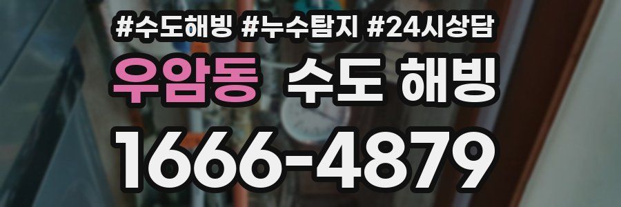 우암동 수도 해빙