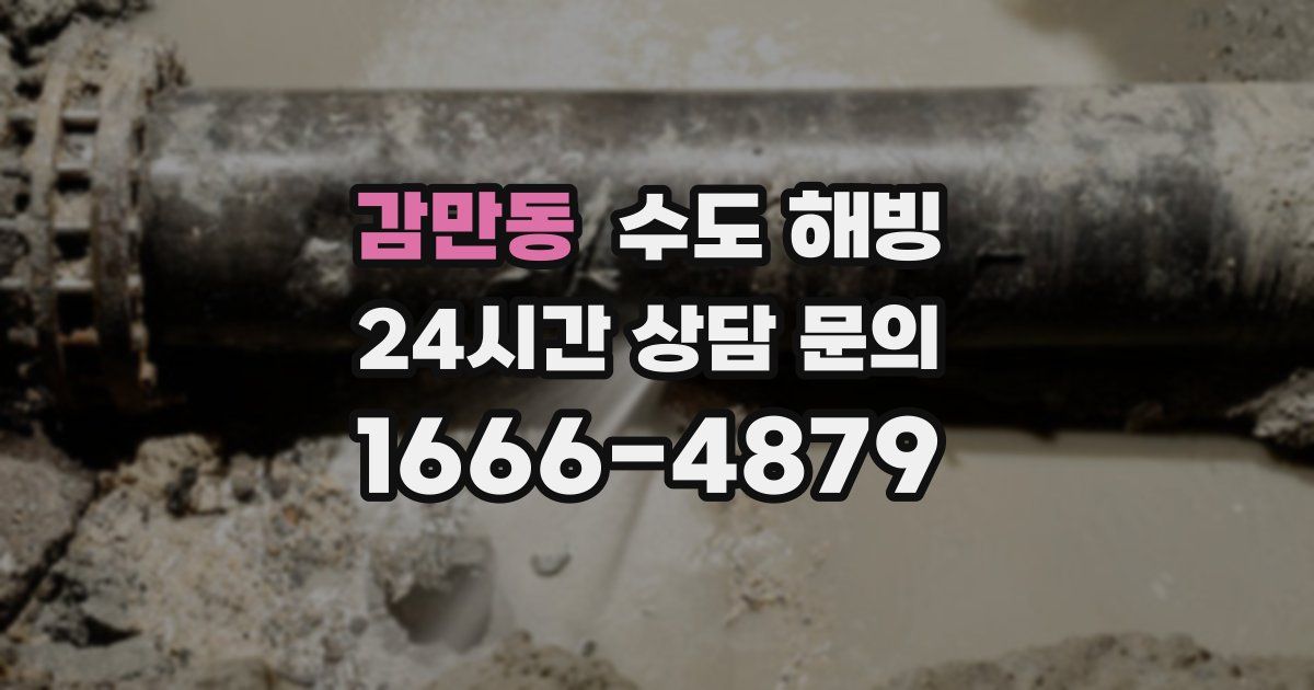 감만동 수도 해빙