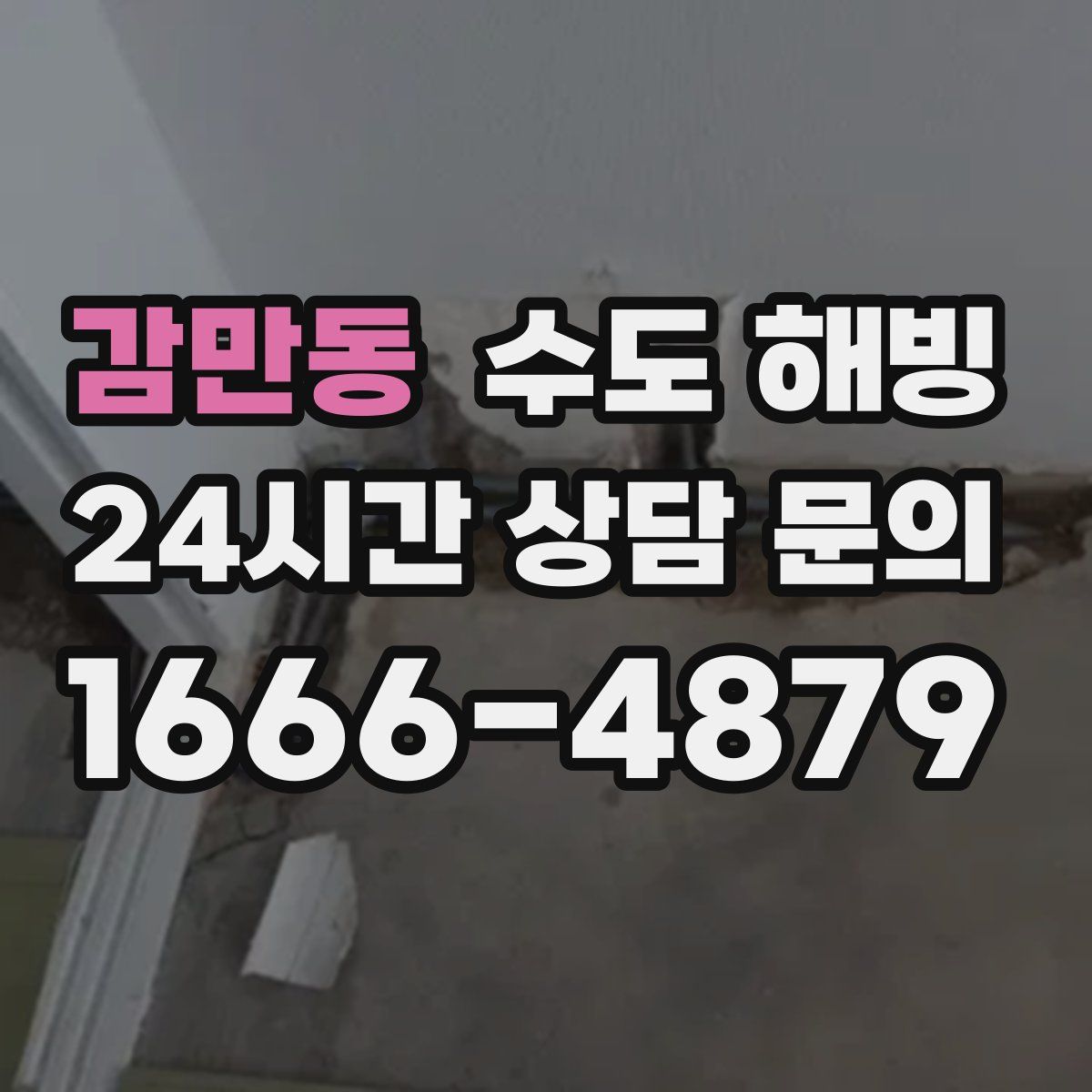 감만동 수도 해빙