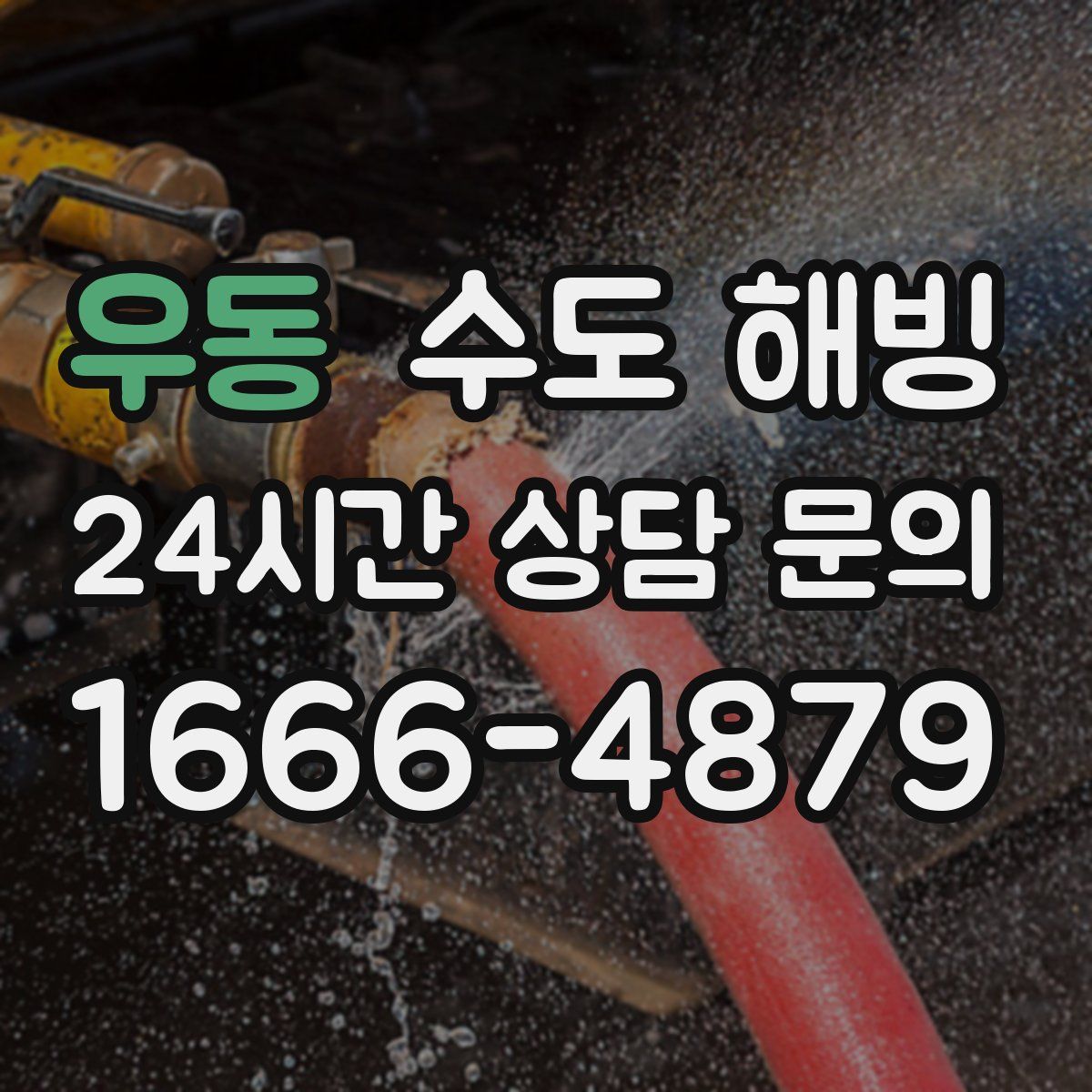 우동 수도 해빙