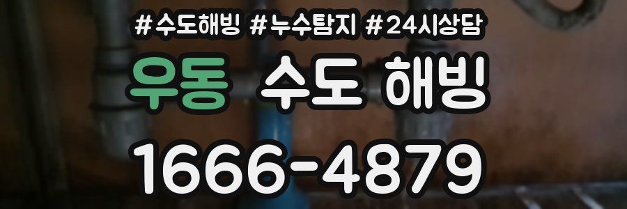 우동 수도 해빙