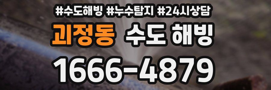 괴정동 수도 해빙