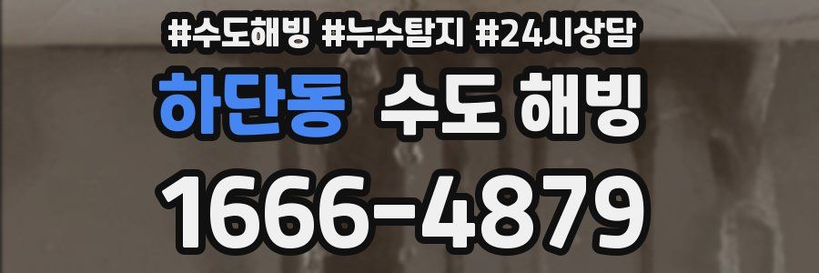 하단동 수도 해빙