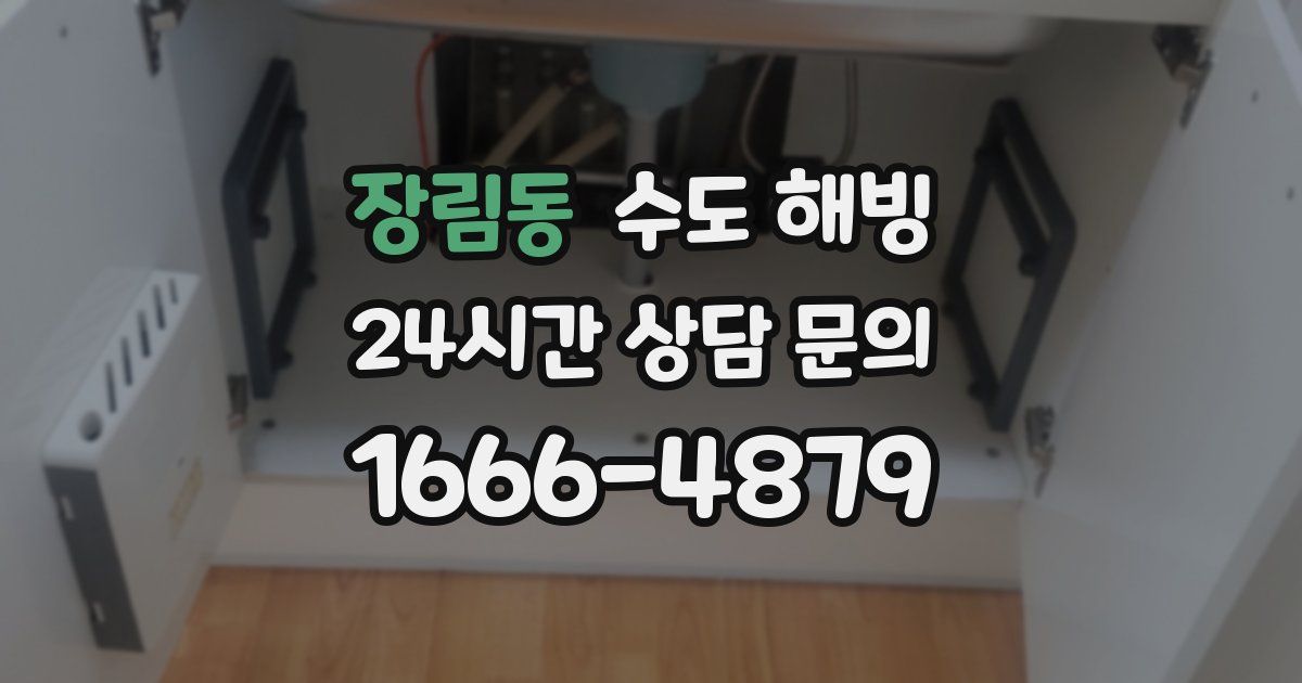 장림동 수도 해빙