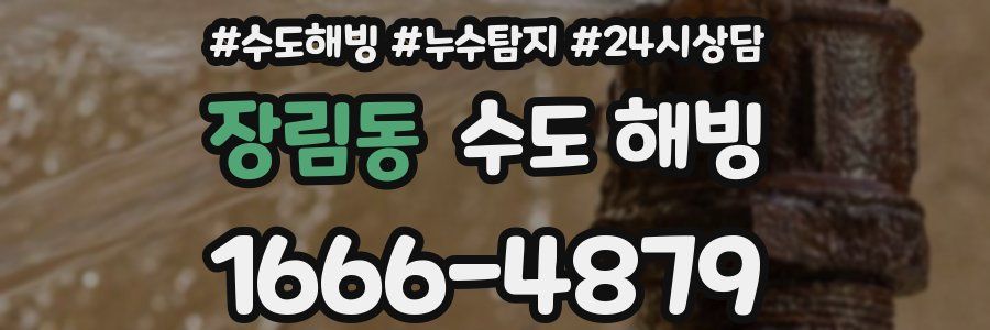장림동 수도 해빙