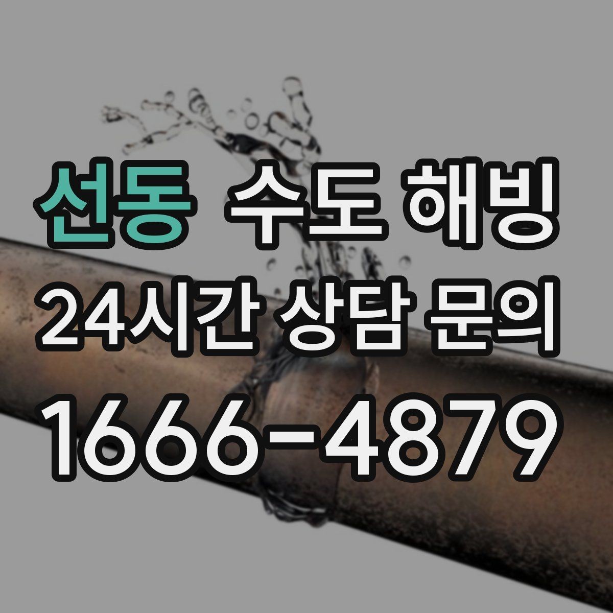선동 수도 해빙 외부에서 얼었을 때와 내부에서 얼었을 때 차이