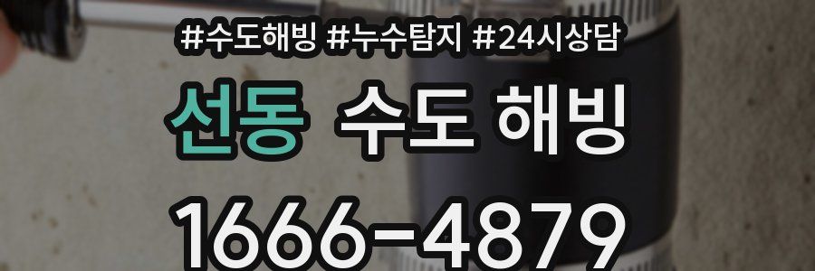 선동 수도 해빙