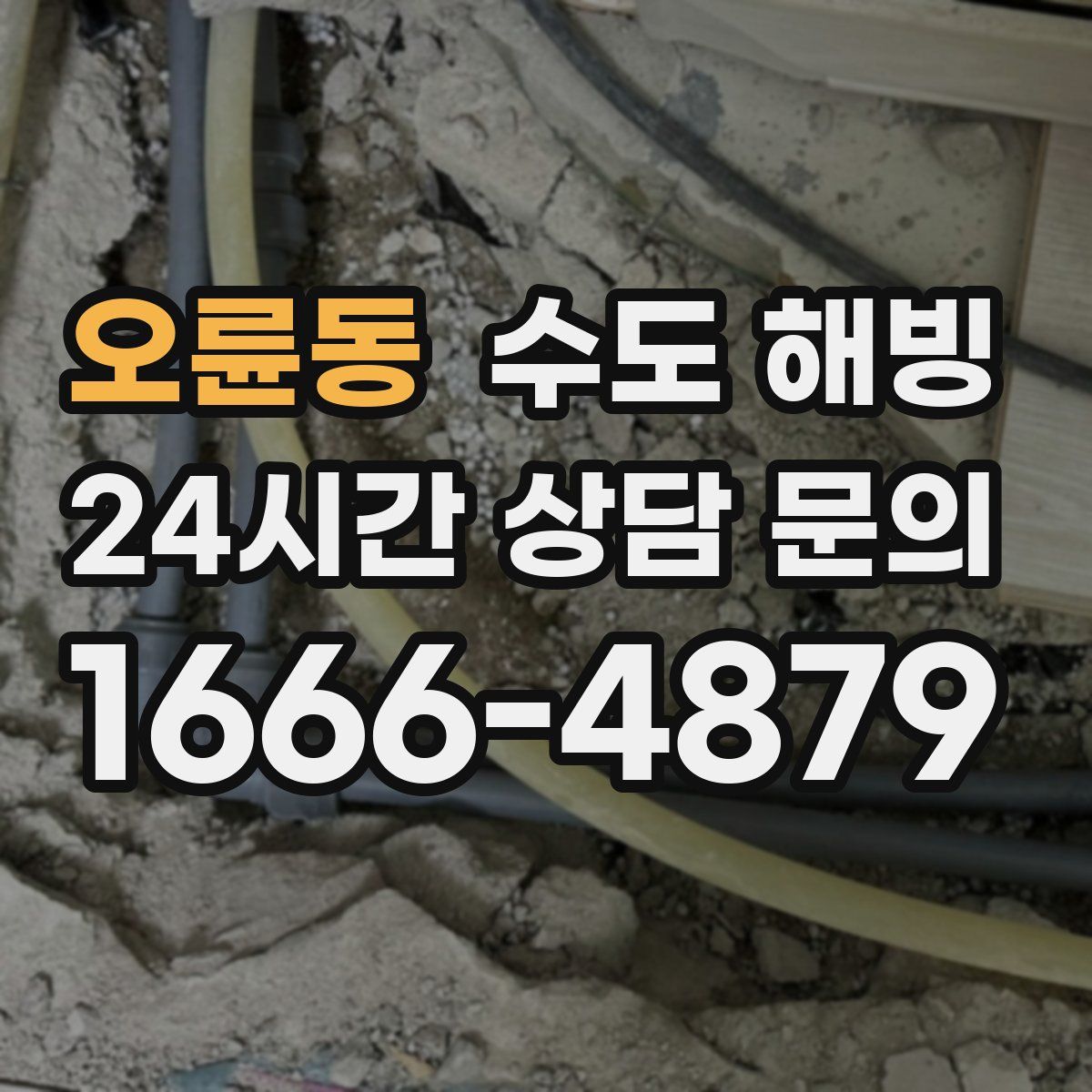 오륜동 수도 해빙