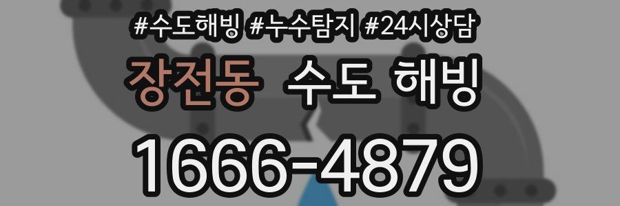 장전동 수도 해빙