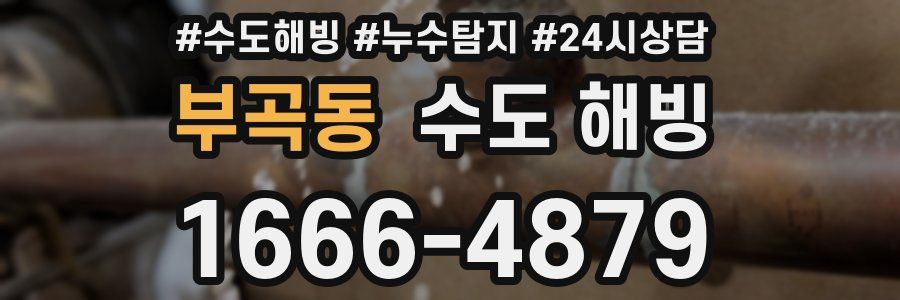 부곡동 수도 해빙