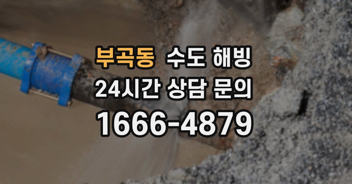 부곡동 수도 해빙