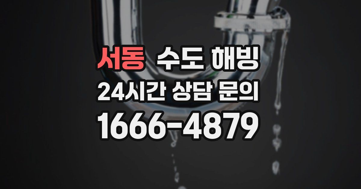 서동 수도 해빙