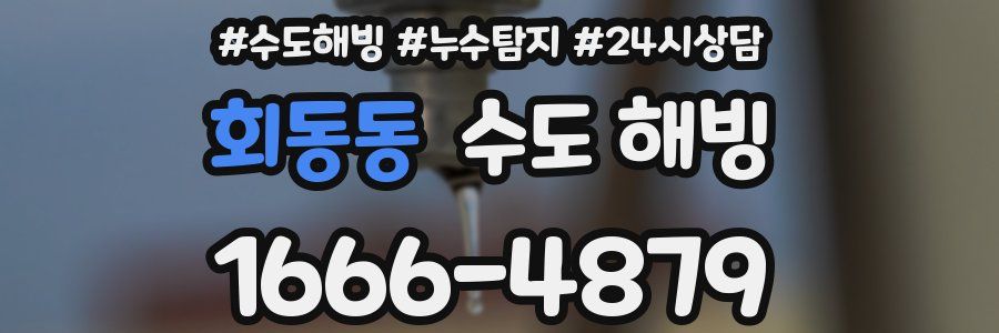 회동동 수도 해빙