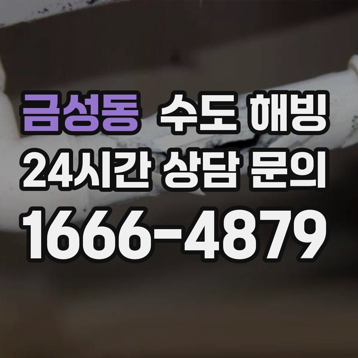 금성동 수도 해빙