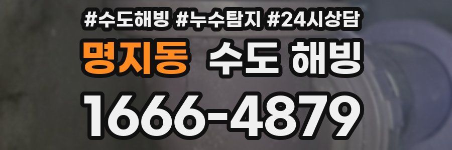 명지동 수도 해빙