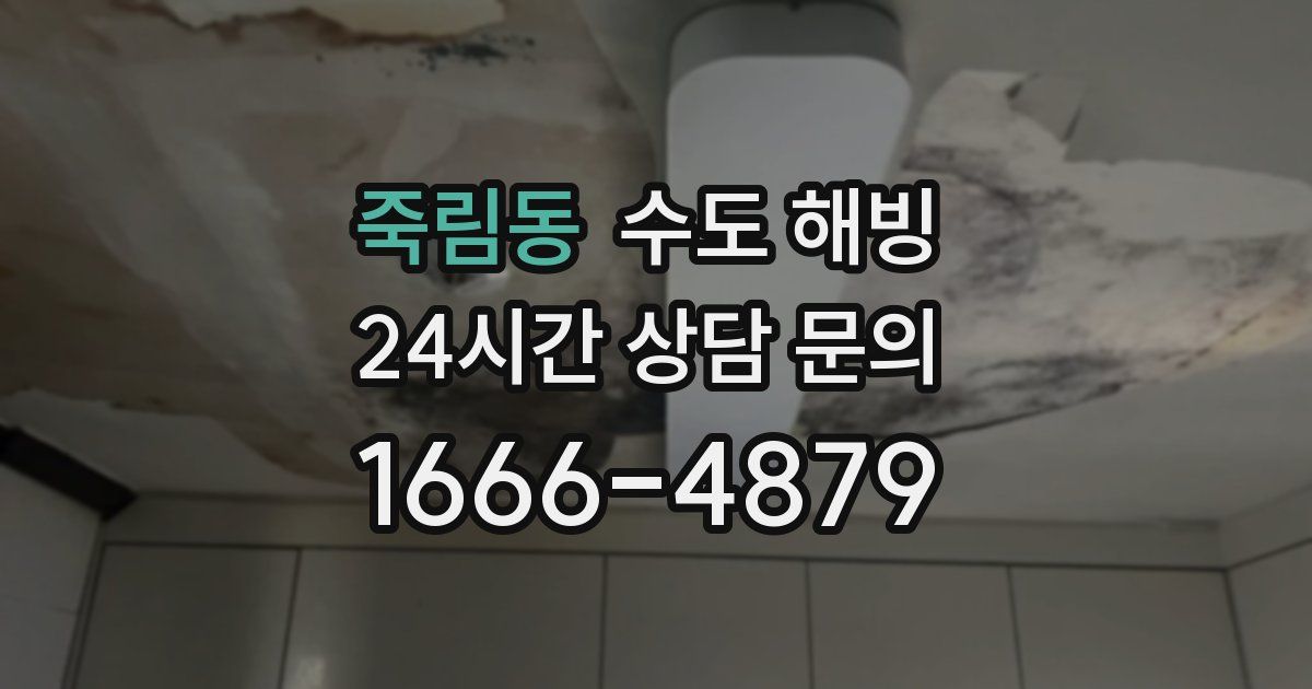 죽림동 수도 해빙