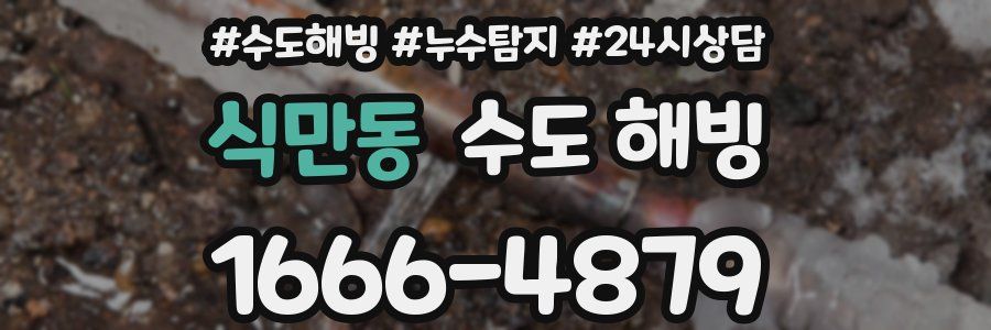 식만동 수도 해빙