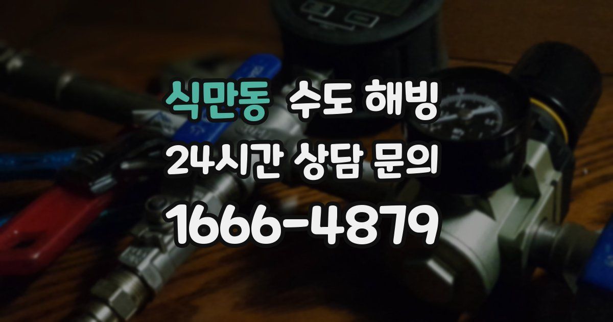 식만동 수도 해빙