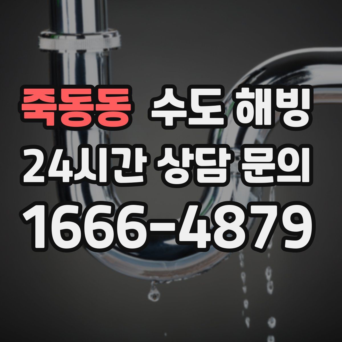 죽동동 수도 해빙