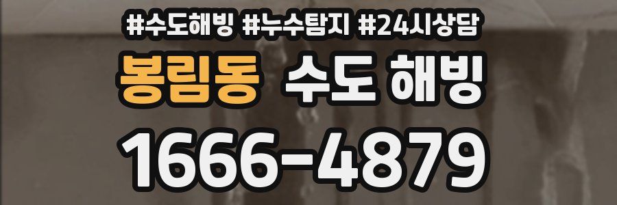 봉림동 수도 해빙