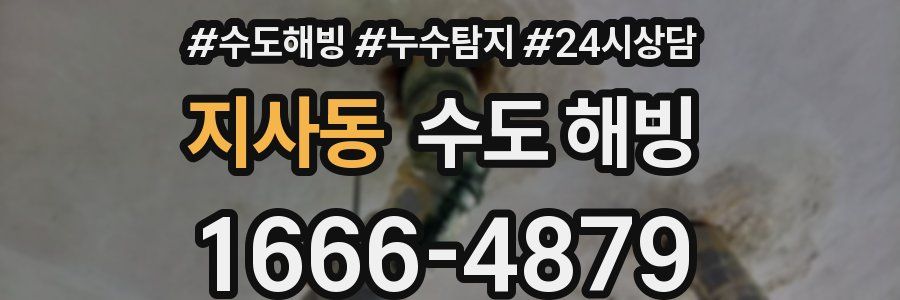 지사동 수도 해빙