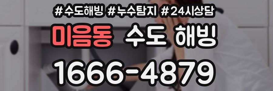 미음동 수도 해빙