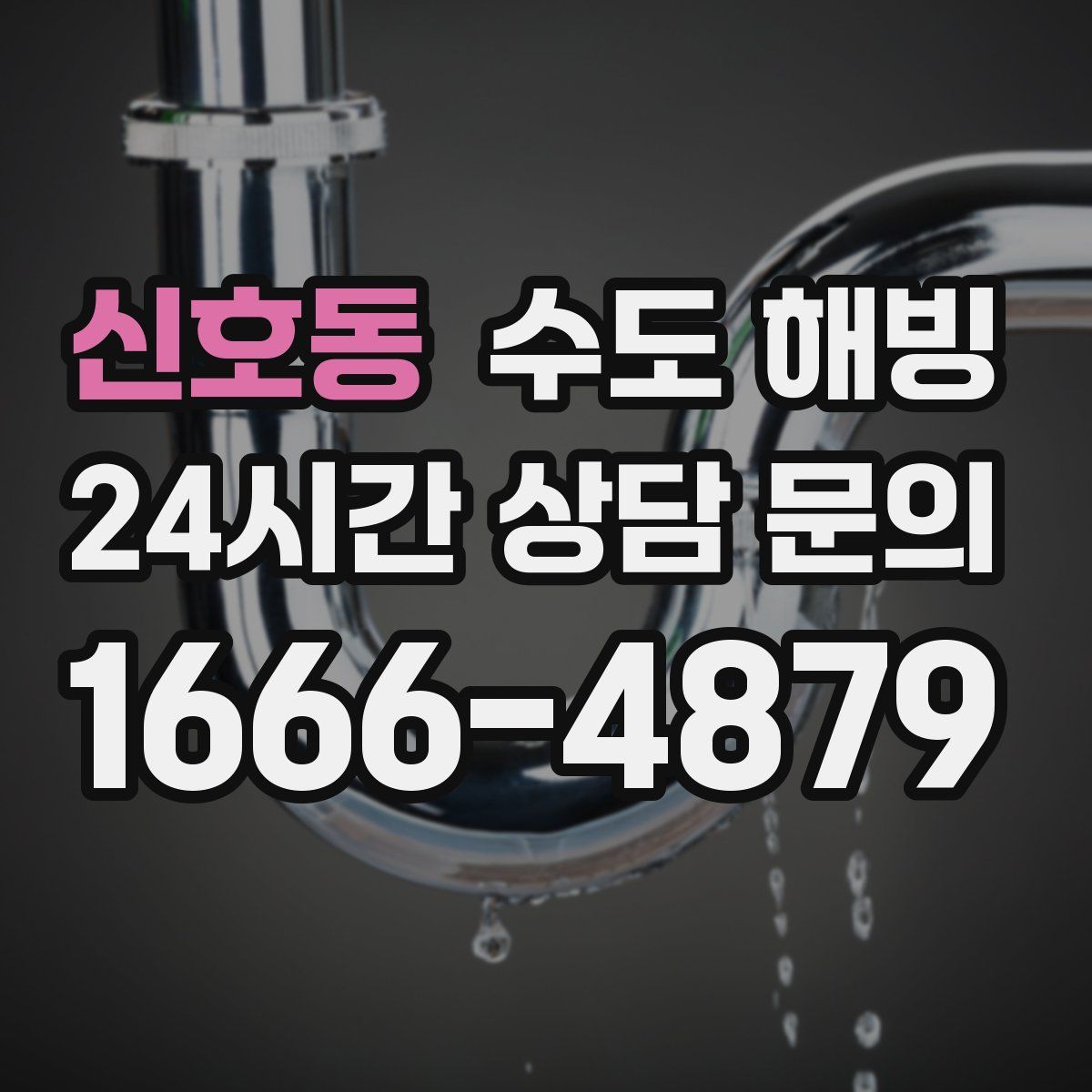 신호동 수도 해빙