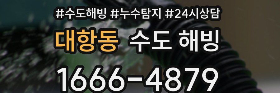 대항동 수도 해빙