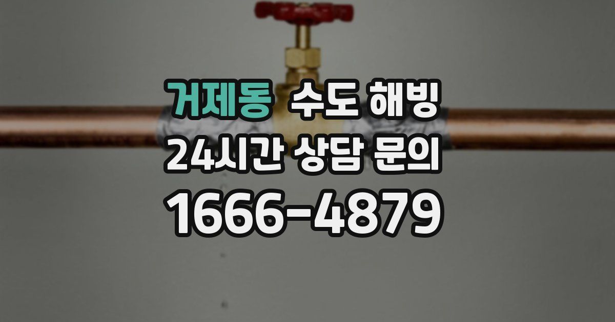 거제동 수도 해빙