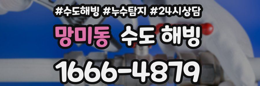 망미동 수도 해빙