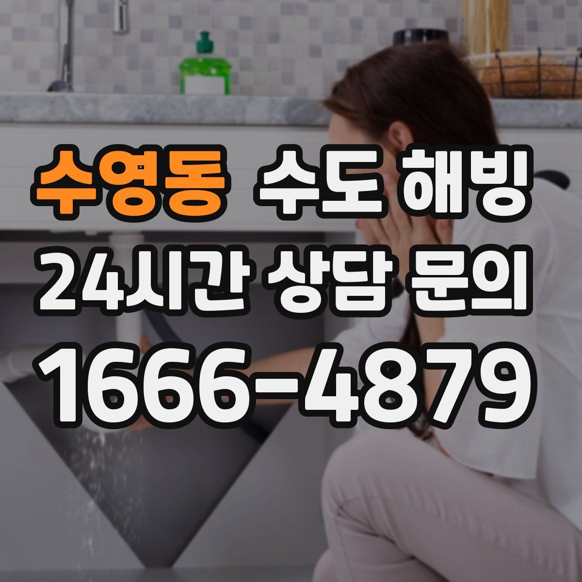 수영동 수도 해빙