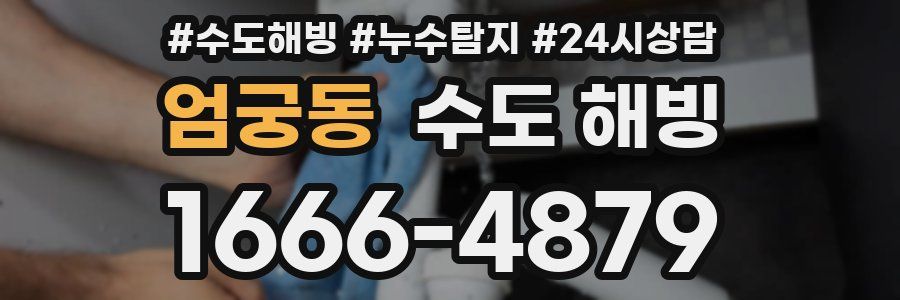 엄궁동 수도 해빙