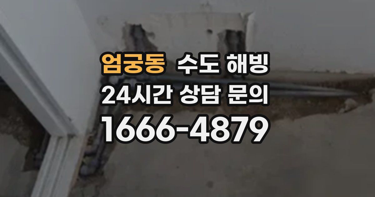 엄궁동 수도 해빙