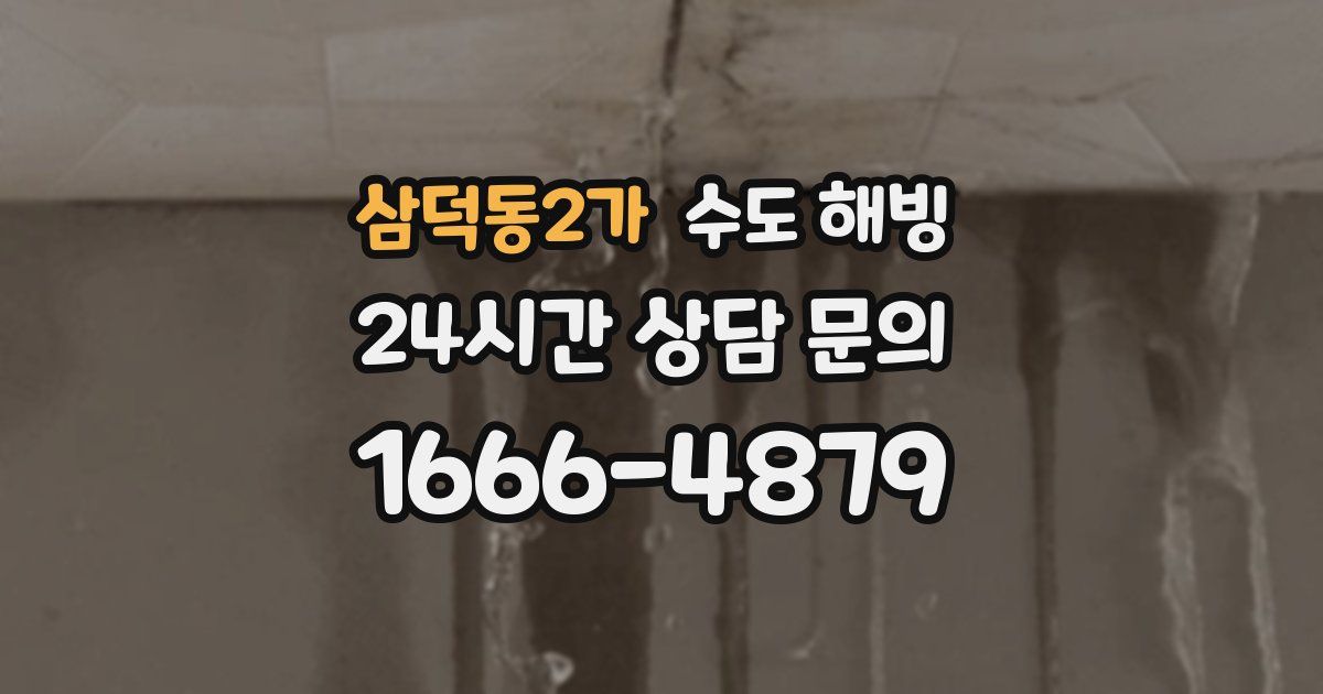 삼덕동2가 수도 해빙