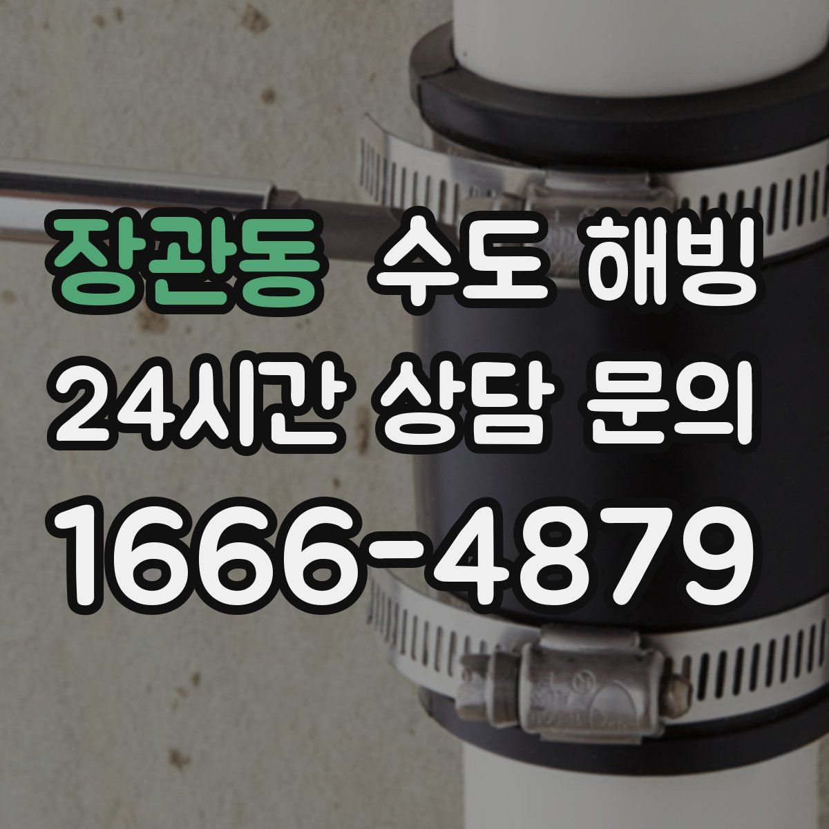 장관동 수도 해빙