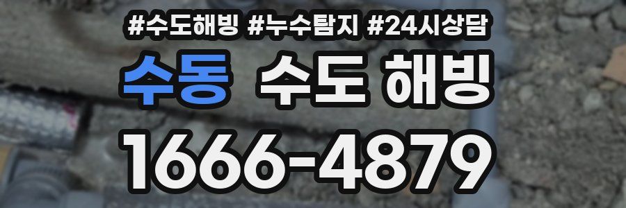 수동 수도 해빙