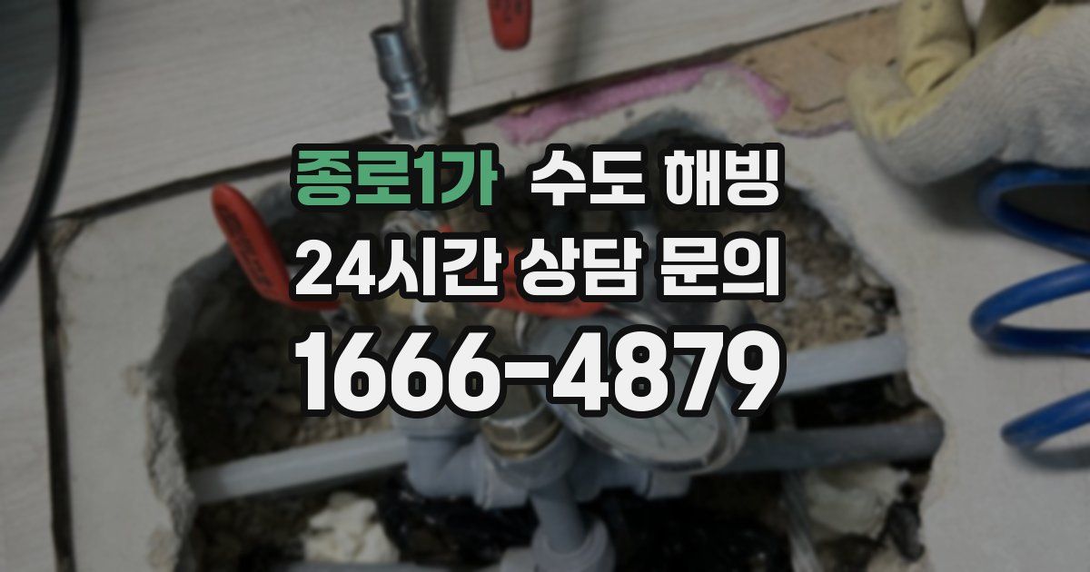 종로1가 수도 해빙