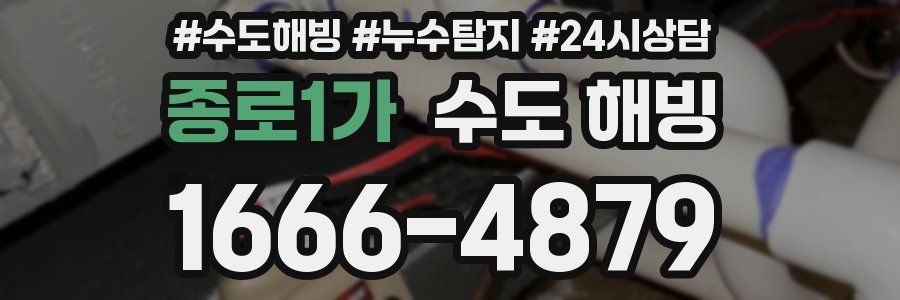 종로1가 수도 해빙