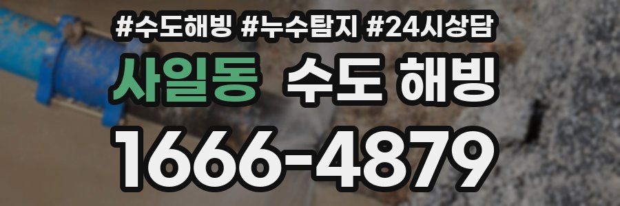 사일동 수도 해빙
