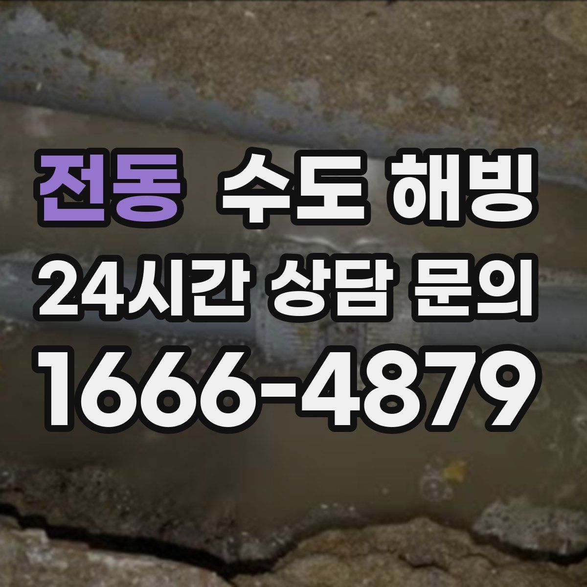 전동 수도 해빙