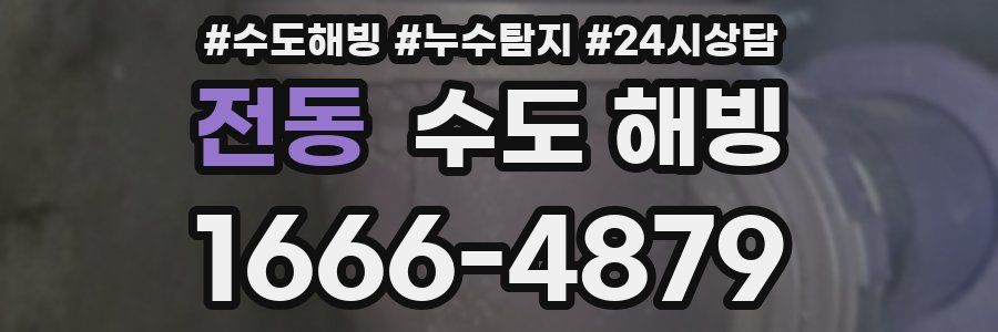 전동 수도 해빙