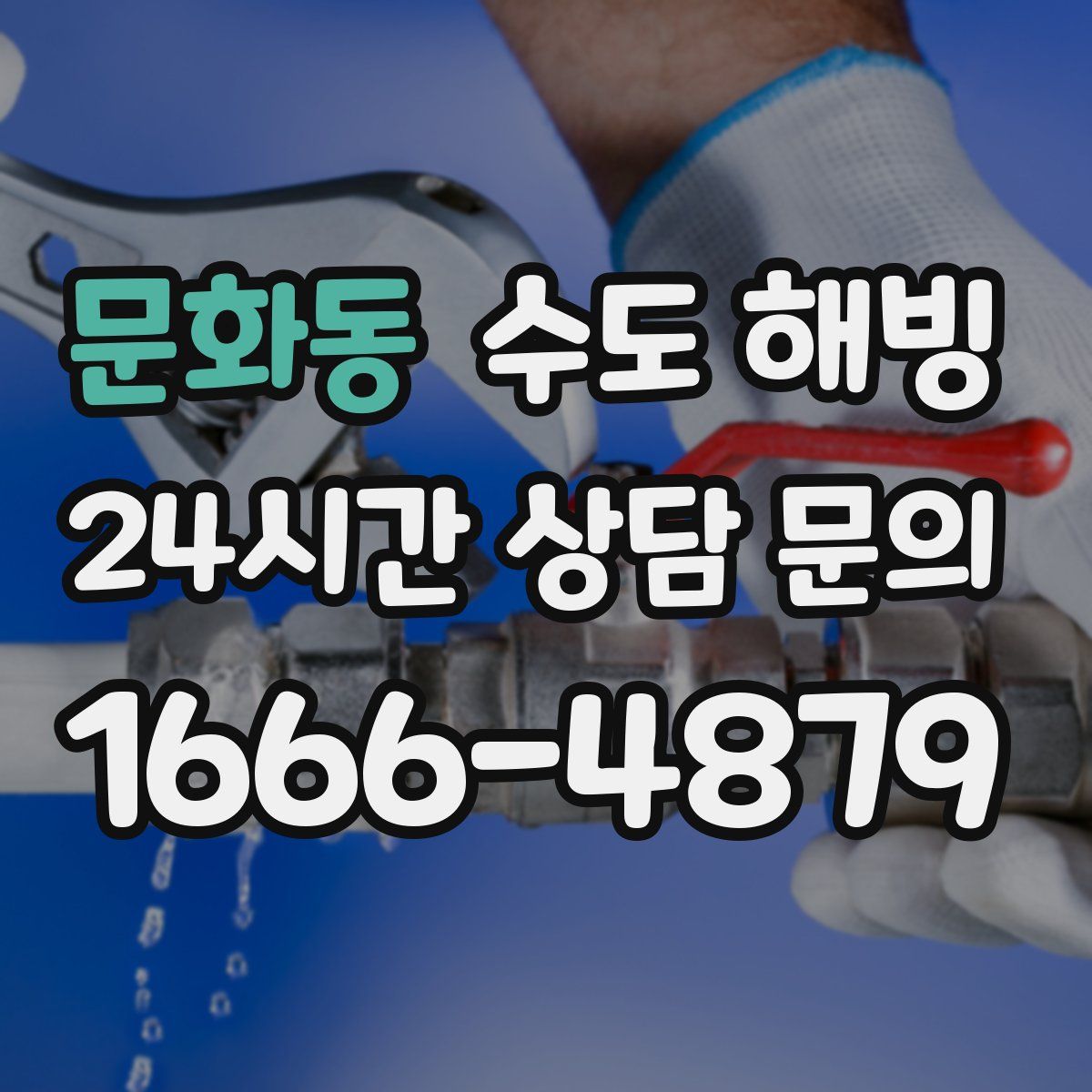 문화동 수도 해빙