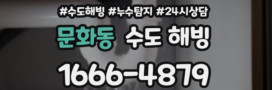 문화동 수도 해빙