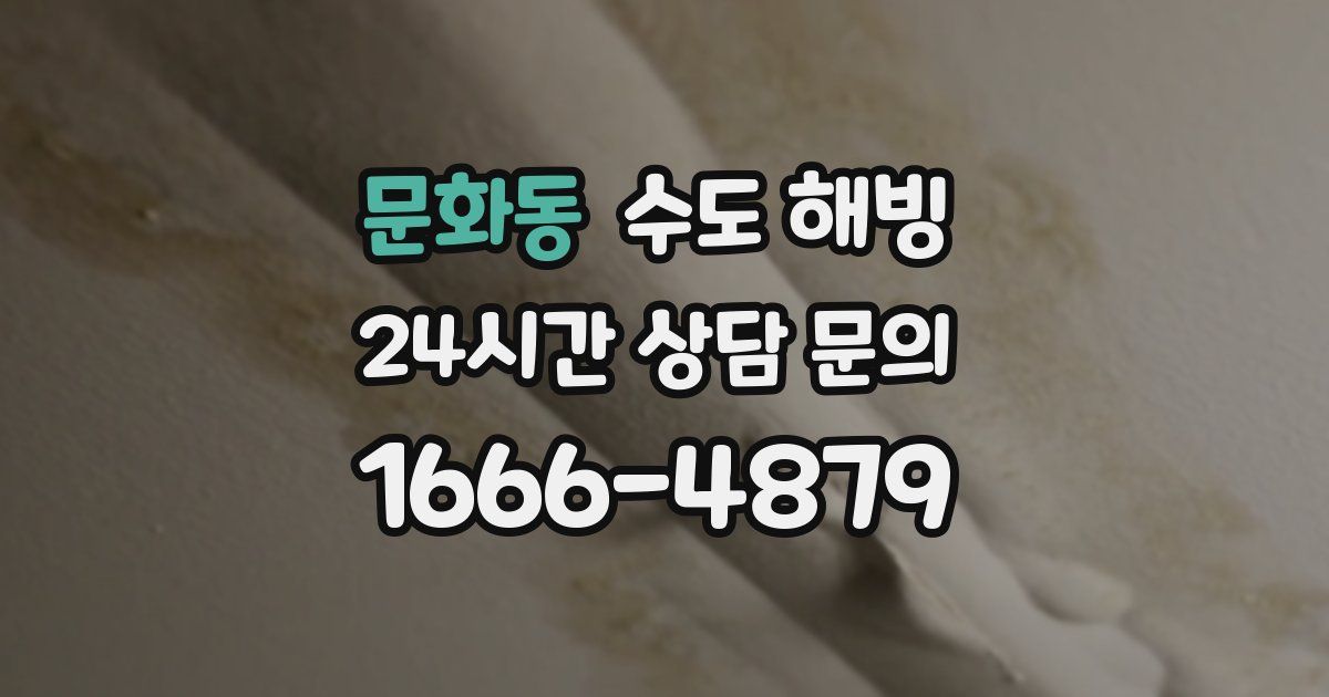 문화동 수도 해빙