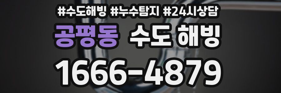 공평동 수도 해빙