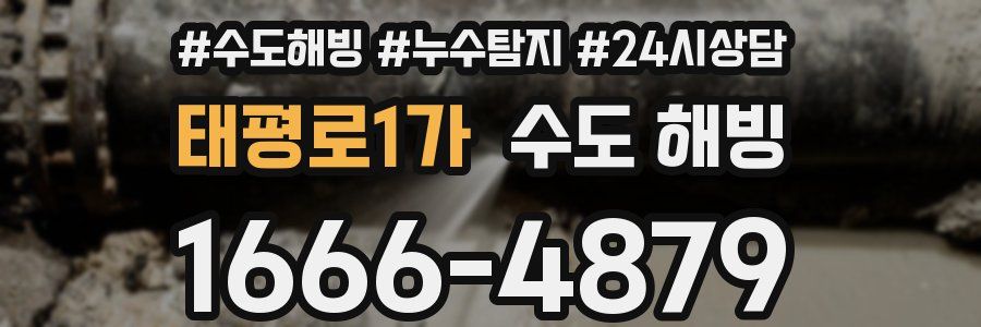 태평로1가 수도 해빙