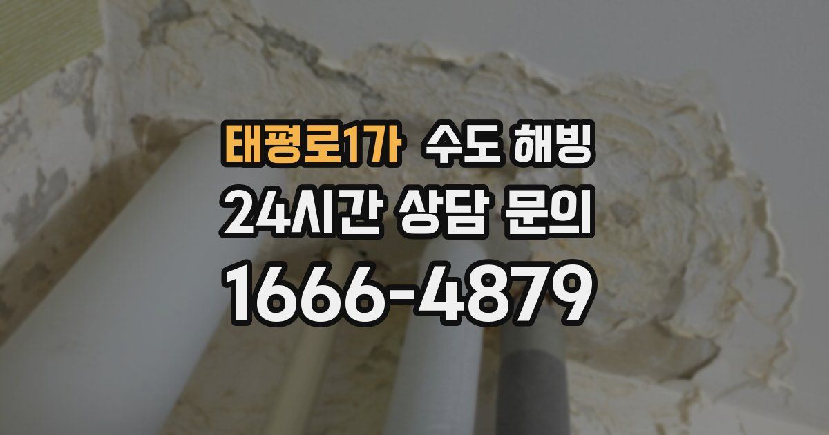 태평로1가 수도 해빙