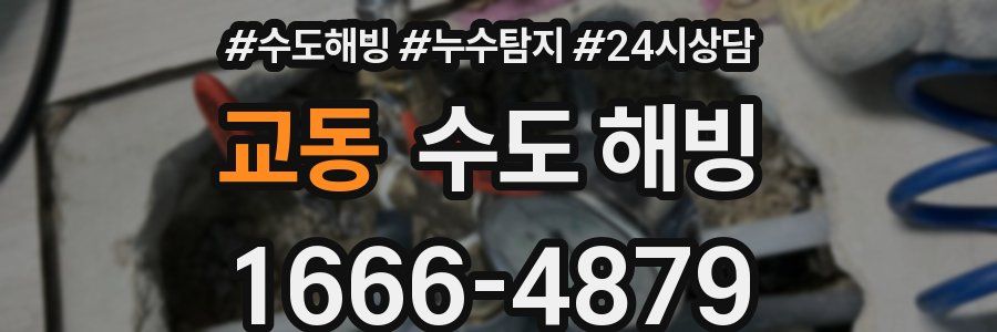 교동 수도 해빙