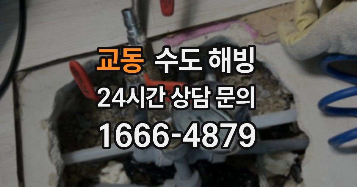 교동 수도 해빙